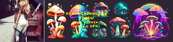 ешки Нея