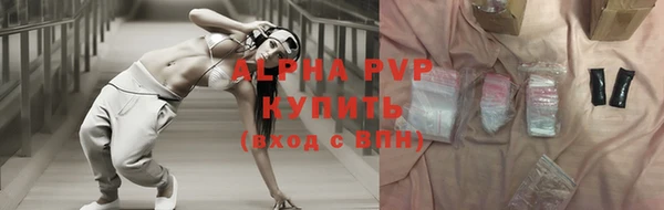 гашик Нефтекумск
