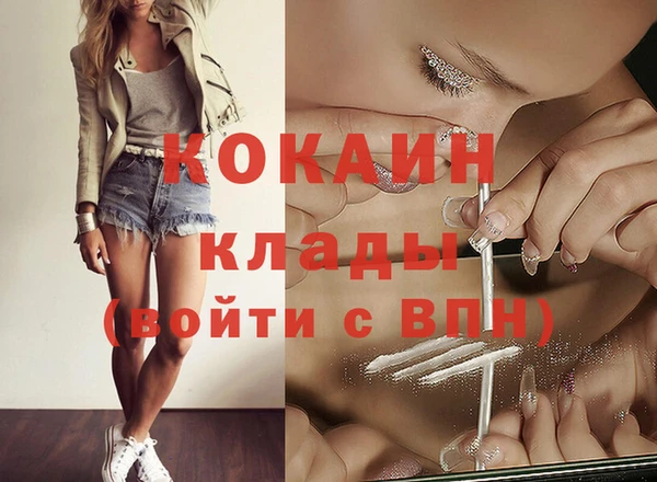 гашик Нефтекумск