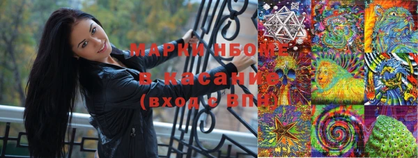 гашик Нефтекумск